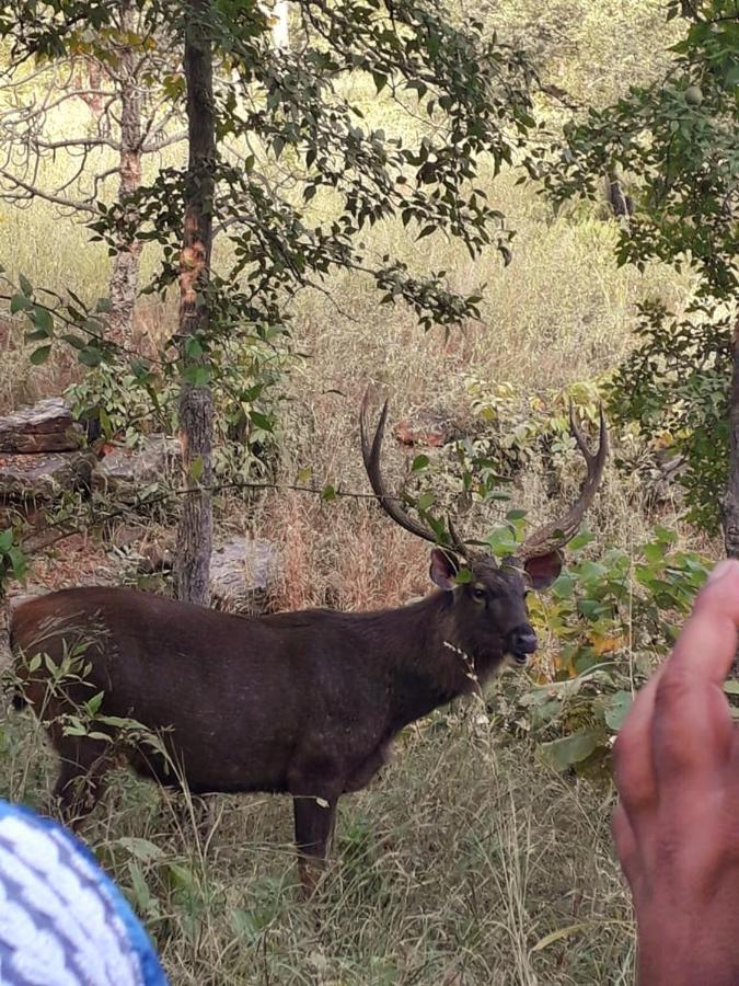 Sadhna Sadan Homestay Panna Madla Eksteriør bilde